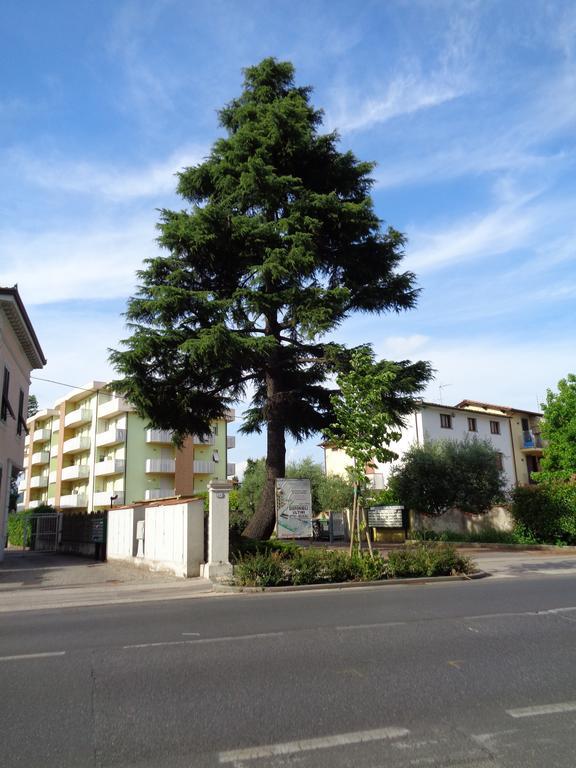 Liz Beth Apartment ลุคคา ห้อง รูปภาพ