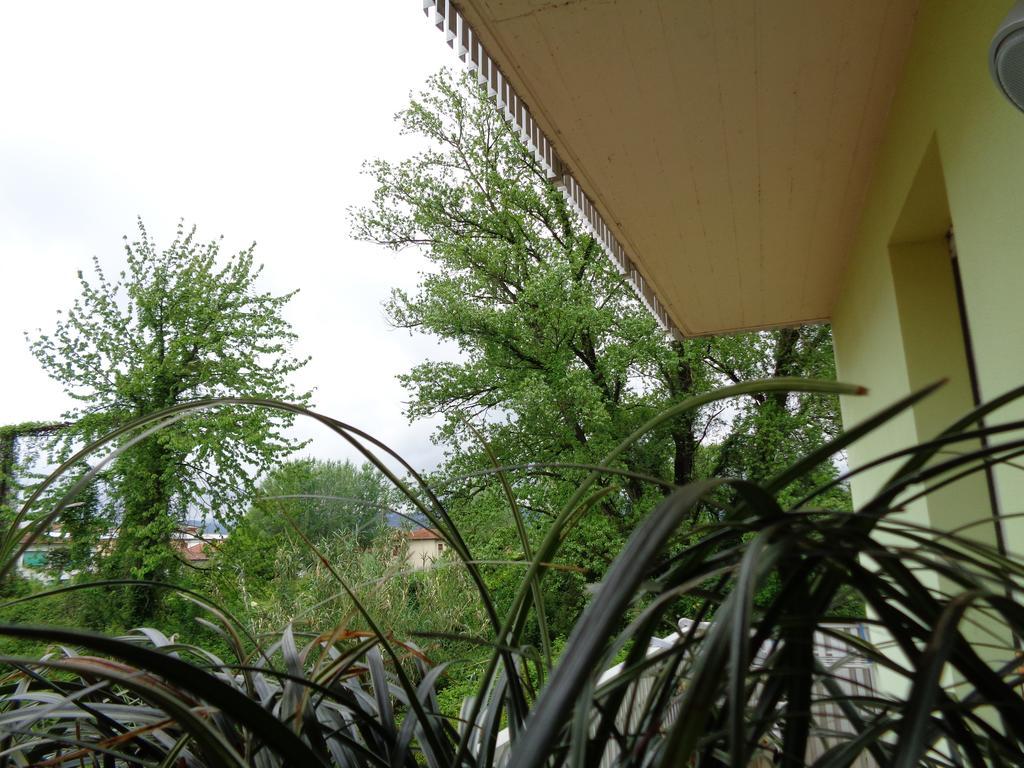 Liz Beth Apartment ลุคคา ห้อง รูปภาพ